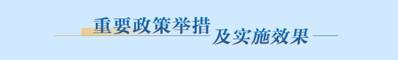 重要政策舉措及實施效果
